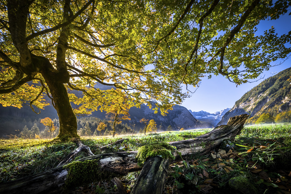 Platz 8 Harald Unglert